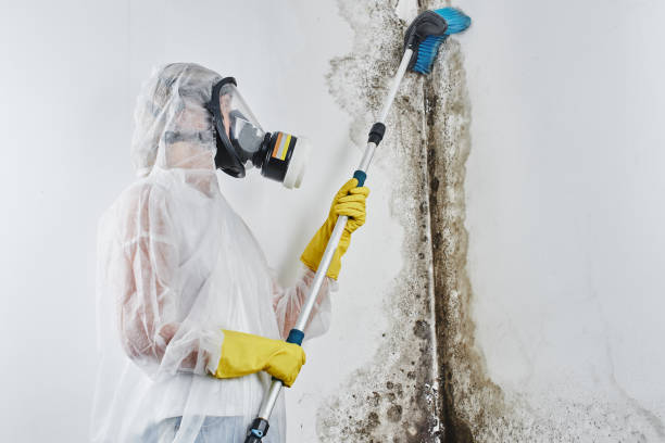 Mold Remediation for Rental Properties in Renova, MS